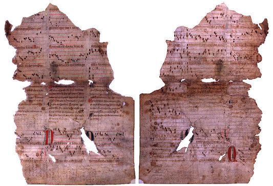 The Discovery of the Sharrer Manuscript