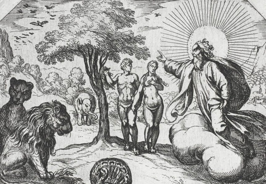 Acquiring Skills vs Acquiring Knowledge