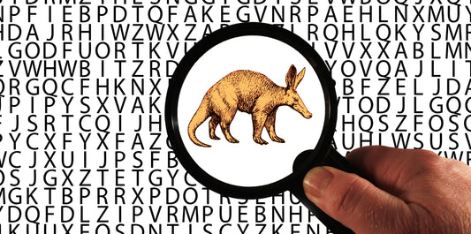 The Pitfalls of Verbal Mnemonics in Language Learning: A Case for Visual Mnemonics