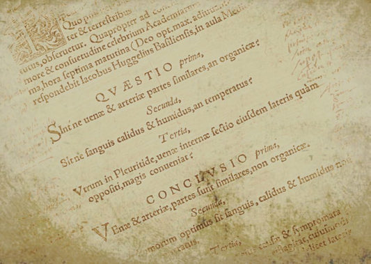 What are the different kinds of Latin? Part 1