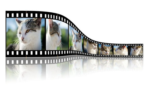 Our New Video Platform