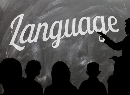 How to Reach Fluency in a New Language