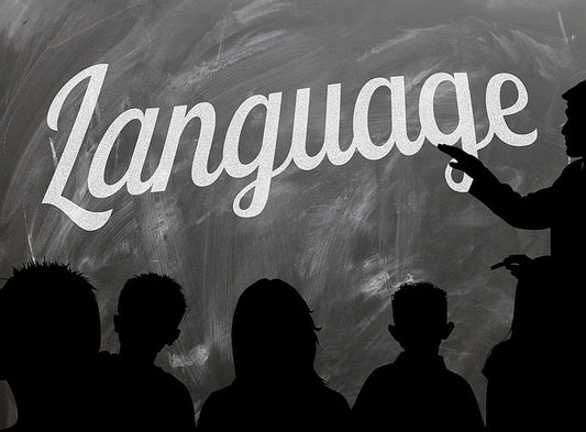 The Romance Languages: A Linguistic Treasure Box