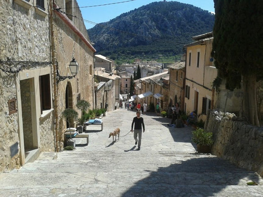MallorquÃ, Minorquà and Eivissenc: The Balearic Islands' Local Variants of Catalan