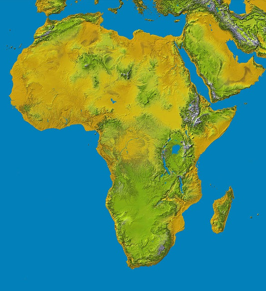Why does Africa have so many more languages than any other continent?