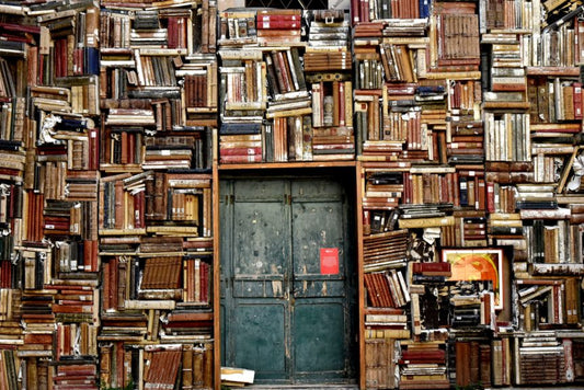 Translating children's literature